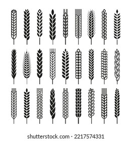 Black wheat silhouettes icons. Ears grains, bakery and bread symbol. Barley oat, gluten isolated pictogram. Agricultural food tidy vector collection