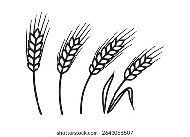 Black Wheat Vector Line Art Illustration Set Featuring Grain Stalks and Ears Design