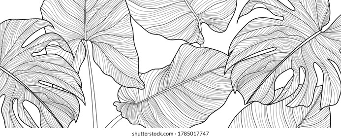 Black and whilte Decirative tropical leaf  background pattern, Split-leaf Philodendron plant with monstera plant line arts for printing, postcard, packaging and cover. Vector illustration.