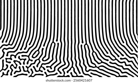 Black and white abstract art with wavy irregular lines