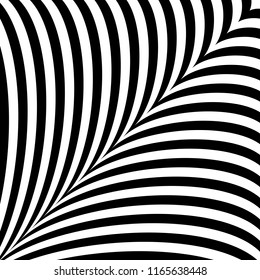 Black and white abstract background with curves symmetrical stripes