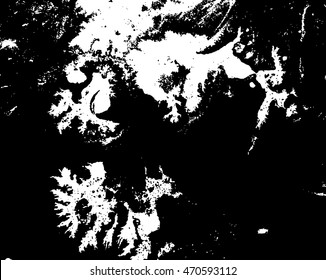 Black and white abstract background. Liquid marble pattern. Monochrome texture. Vector illustration