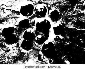 Black and white abstract background. Liquid marble pattern. Monochrome texture. Vector illustration