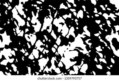 Black and white abstract background rectangle Shadow of leaves