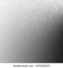 A Black And White Abstract Feather Texture Design