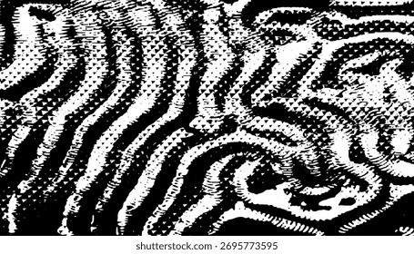 Black and white abstract and grunge pattern for rough wildlife background. Fully editable vector element. Vector Format Illustration 
