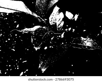Black and white abstract grunge stencil vector of fresh leaves with water droplets. High contrast monochrome wet foliage silhouette graphic element.