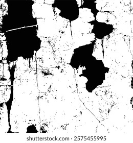 Black and White Abstract Grunge Texture background Vector