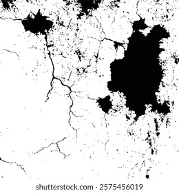 Black and White Abstract Grunge Texture background Vector