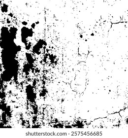 Black and White Abstract Grunge Texture background Vector