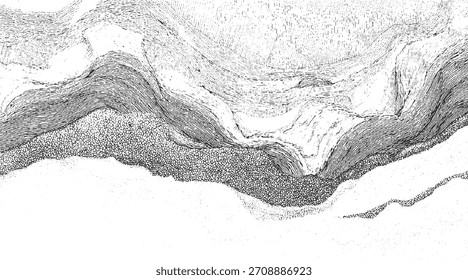 Abstracto en blanco y negro con líneas onduladas en capas y textura punteada.