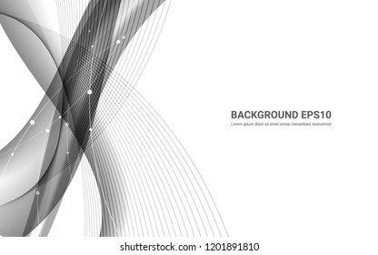 Black and white abstract line smooth curve background. Vector illustration copy space modern design concept.