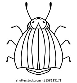 Black and white abstract outline illustration of a beetle on a white background. Isolated object for your design.