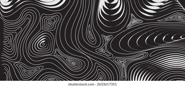 Black and White Abstract Pattern with Intricate Flowing Lines, Organic Interconnected Shapes, Topographic and Liquid Swirl Effect, Varying Thickness and Density, Fluid Depth and Texture