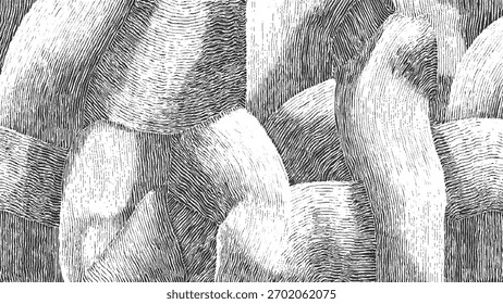 Patrón abstracto en blanco y negro con diferentes densidades de línea y dirección creando Formas texturizadas.