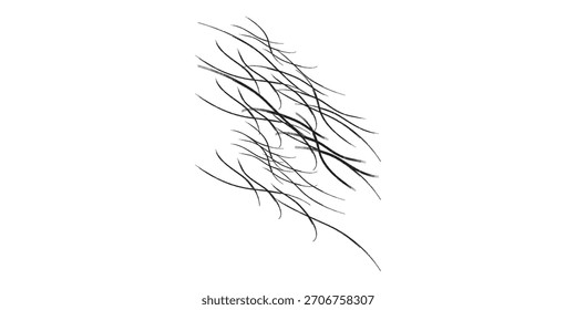 Un boceto abstracto en blanco y negro con numerosas ramas delgadas y entrelazadas. Las ramas se dibujan con diferentes pesos de línea, creando una sensación de profundidad y textura.