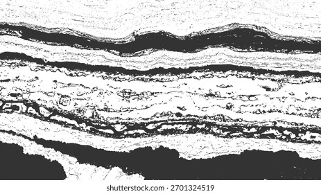 Textura abstracta en blanco y negro con Formas orgánicas en capas y detalles granulares.