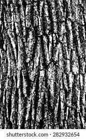 Black and white abstract tree bark background.