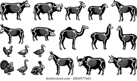 Black and white of african animals in various poses zebra giraffe elephant rhinoceros