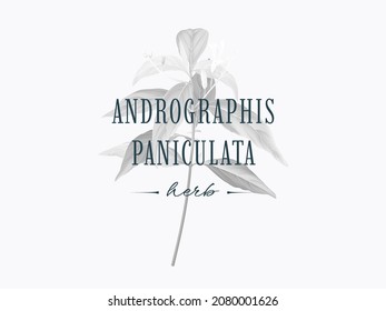Black and white Andrographis paniculata plant with text