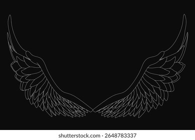 Asas de anjo preto e branco com detalhes intrincados se destacam contra um fundo escuro. O contraste acentuado destaca a forma e textura únicas de cada asa.