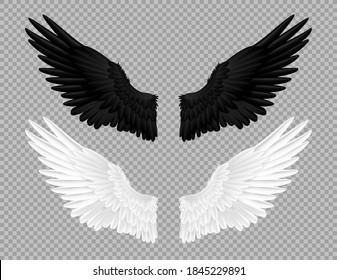 Black and white angel wings. Swans and crows feather, bird carnival costume. Parts of flying feathered animal on transparent background. Angelic emblem template. Fairy decoration, vector isolated set