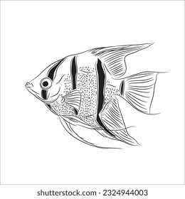 Black and White Angelfish Vector Illustration