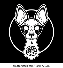 black and white angry bald cat