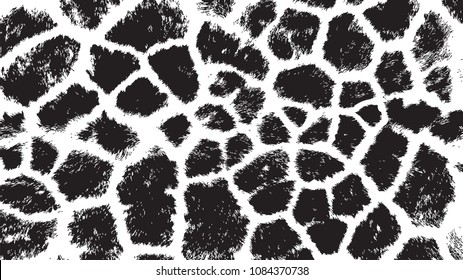 black white animal skin texture giraffe pattern print