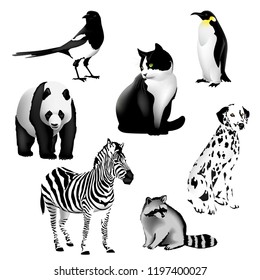 Black and White Animals
Set of drawings of animals having a black and white color. Illustration, vector. EPS-10.