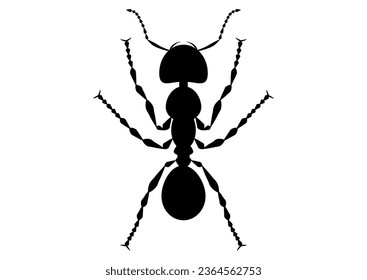 Black and White Ant Clipart