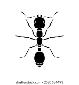 black and white ant icon illustration isolated on white background.