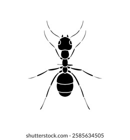 black and white ant icon illustration isolated on white background.