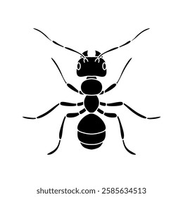 black and white ant icon illustration isolated on white background.