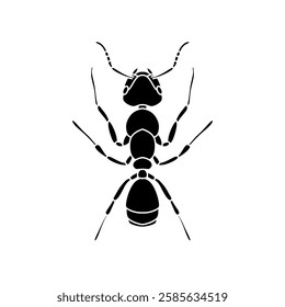 black and white ant icon illustration isolated on white background.