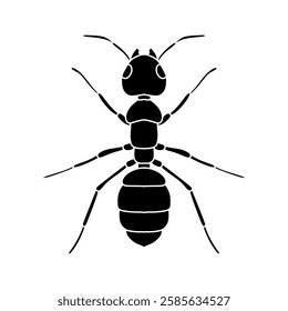 black and white ant icon illustration isolated on white background.