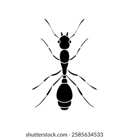 black and white ant icon illustration isolated on white background.