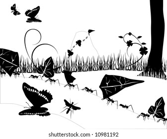  black and white  ants nature vector illustration