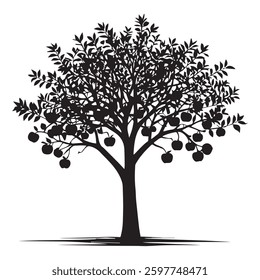 Black and white apple tree silhouette white Background.
