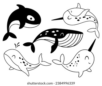 Cíclica ártica blanca y negra con ballena, narval, ballena asesina en dibujos animados de estilo plano. Ilustración del vector