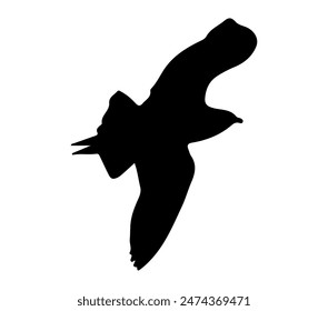 Black and White Arctic Skua Silhouette. Vector Illustration.
