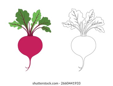 Ilustração de beterraba de desenhos animados de arte em preto e branco para crianças do bebê linha simples. estilo de contorno para pintura. crianças colorindo páginas do livro desenhos educacionais aprendendo conceitos de alimentação saudável pré-escola