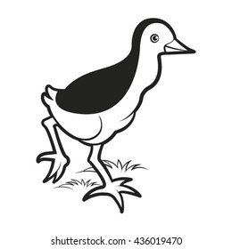 black & white baby water hen walking-vector drawing