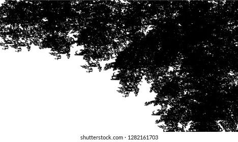 black white background