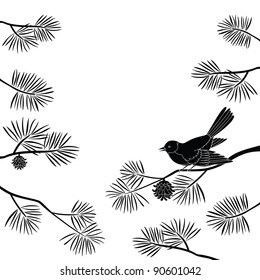 Black and white background, bird titmouse sitting on pine branch. Vector