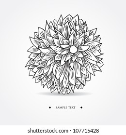 Black and white background with chrysanthemum flowers