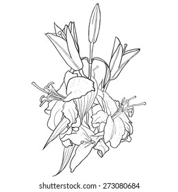 Black and white background with flowers of lily