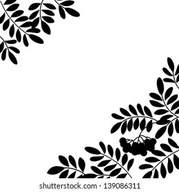 Black and white background, isolated silhouette of rowanberry branches and berries. Vector