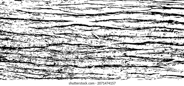 Black and white background with a texture of cedar tree bark