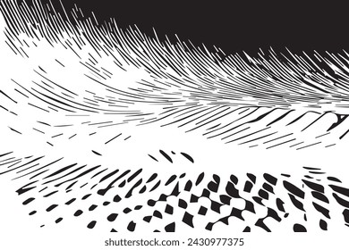 black and white background texture, vector illustration black grunge texture on white background